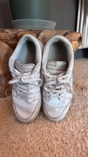 Nike dunk sneaker - nike,